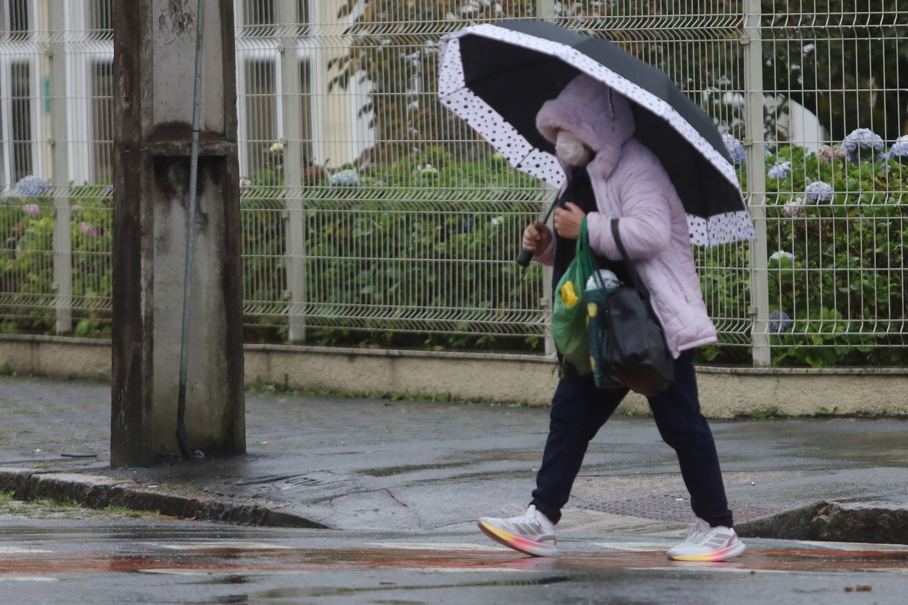 Primeira semana de junho tem chuva moderada em todo o Paraná
Primeira semana de junho tem chuva moderada em todo o Paraná
Primeira semana de junho tem chuva moderada em todo o Estado