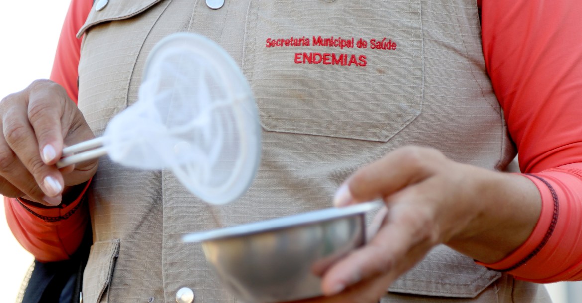 Boletim da dengue aponta estabilidade na curva epidemiológica