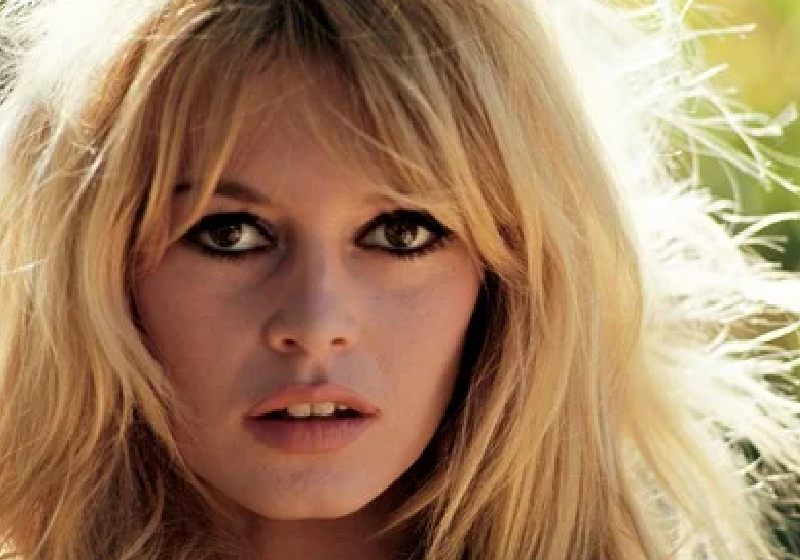 Brigitte Bardot, ícone do cinema francês, morre aos 91 anos