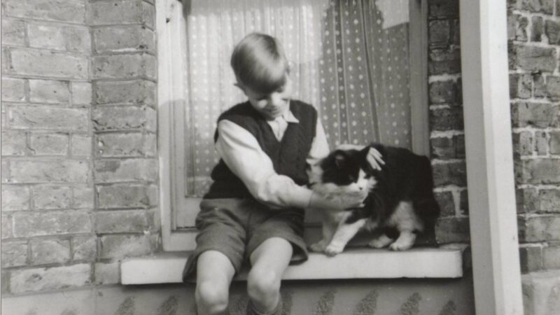 Casa da infância de David Bowie será reformada e aberta ao público