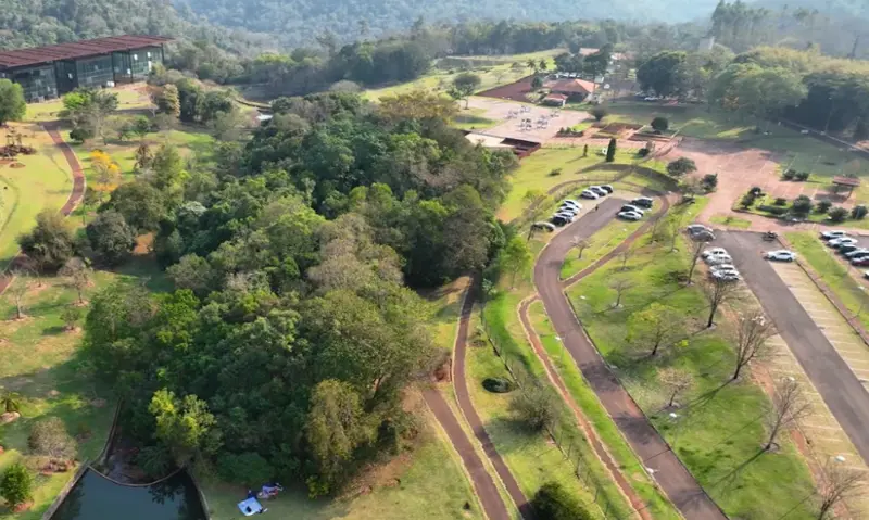 Jardim Botânico de Londrina abre programação infantil com oficinas de pintura, plantio e investigação da fauna