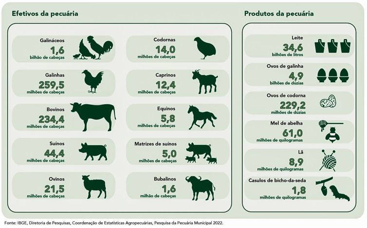 IBGE: Pecuária brasileira colecionou recordes em 2022
