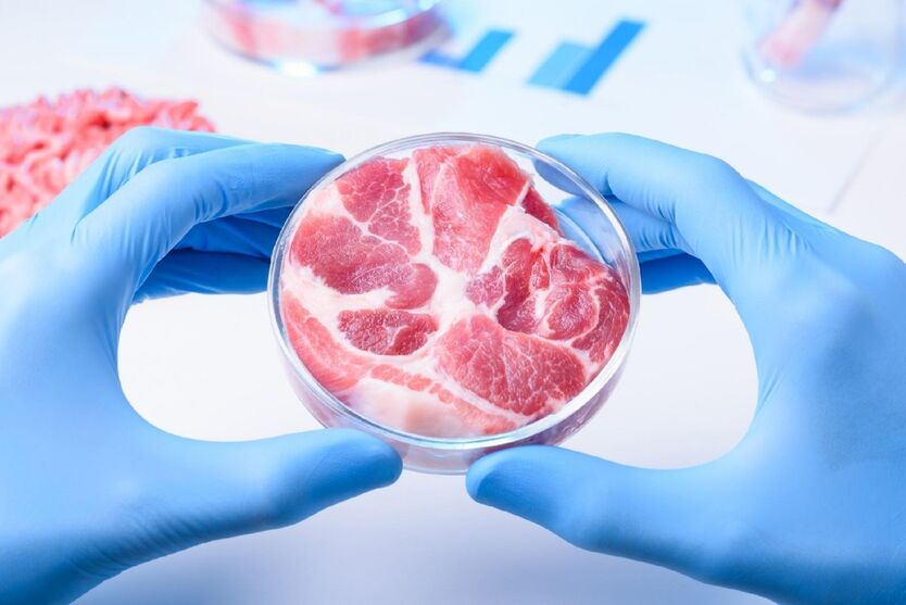 Projeto quer proibir 'carne' feita em laboratório