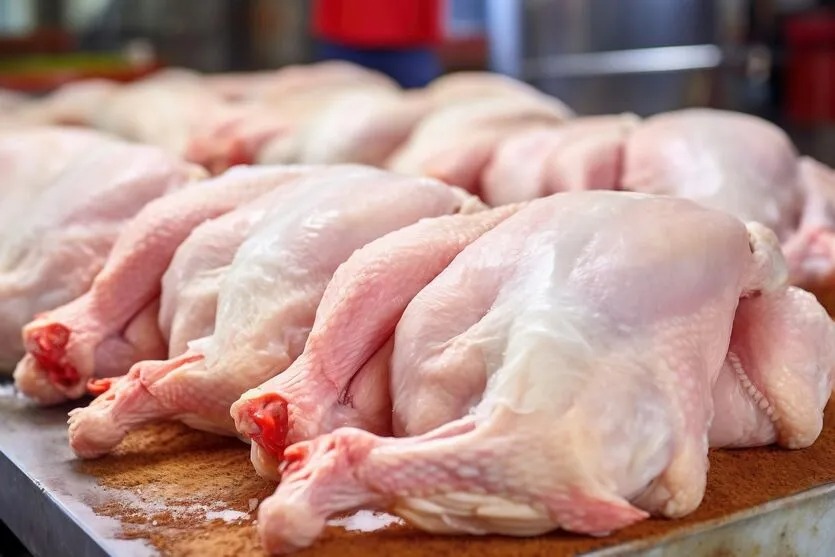 França relata surto de gripe aviária; doença se espalha pela Europa