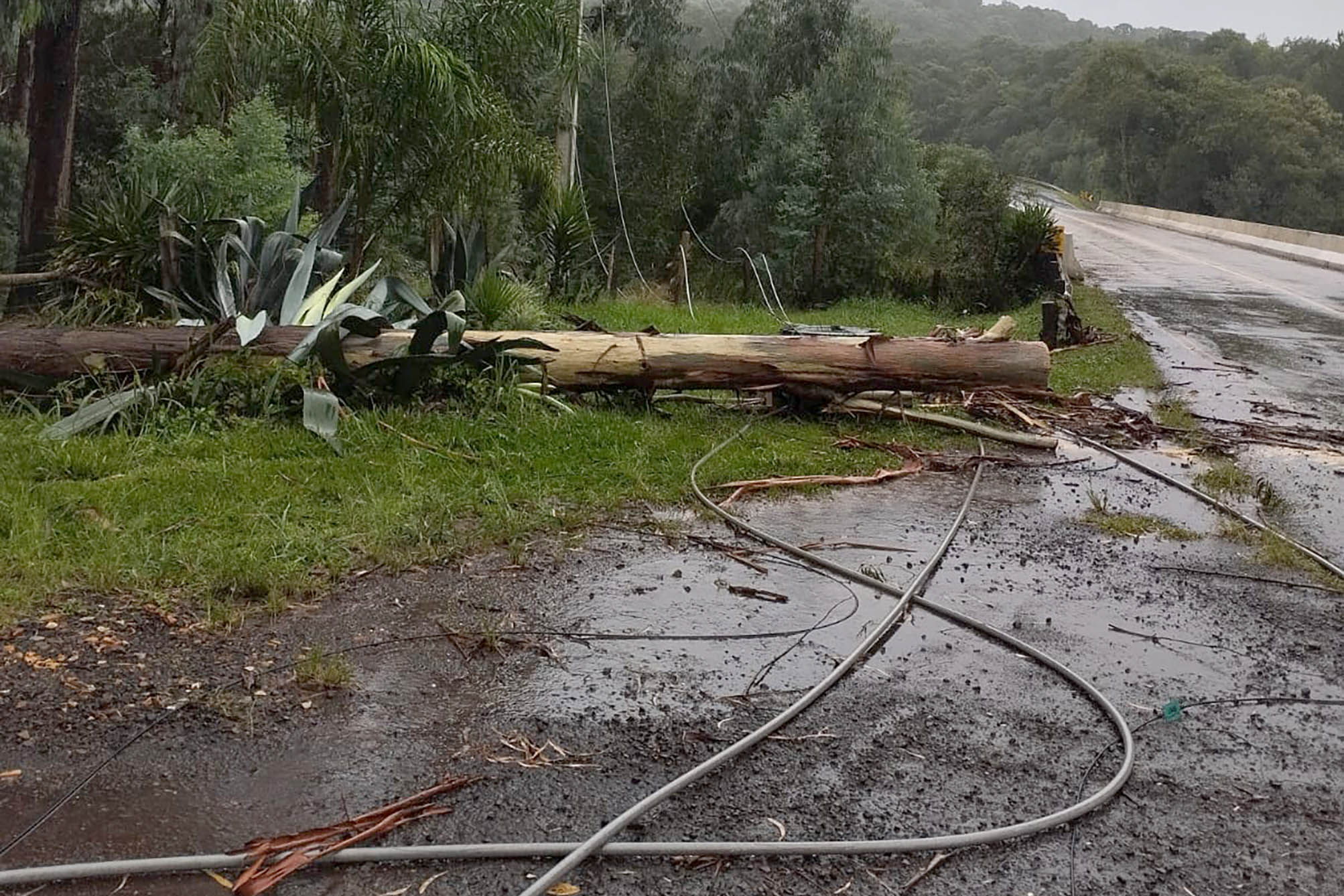 Profissionais da Copel trabalham para restabelecer luz no Paraná
