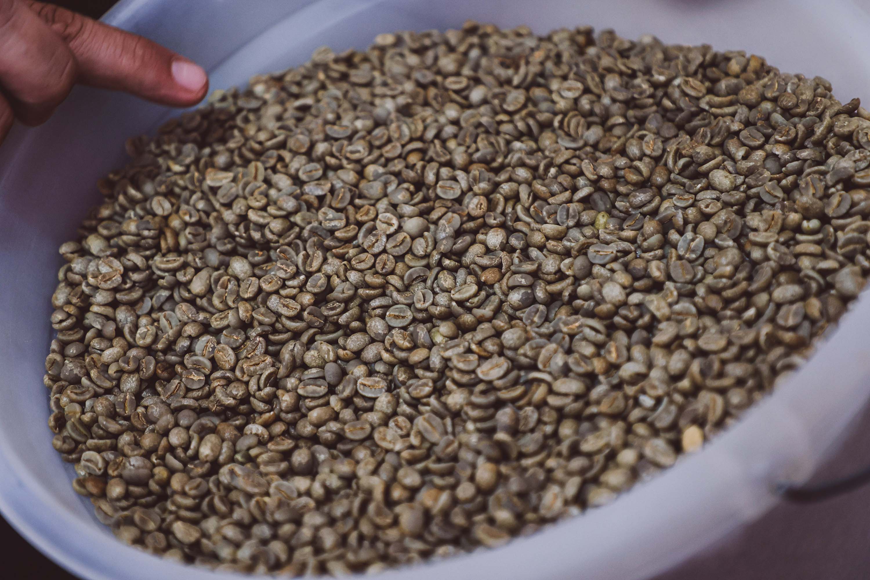 ExpoLondrina sediará 30º Encontro Estadual de Cafeicultores