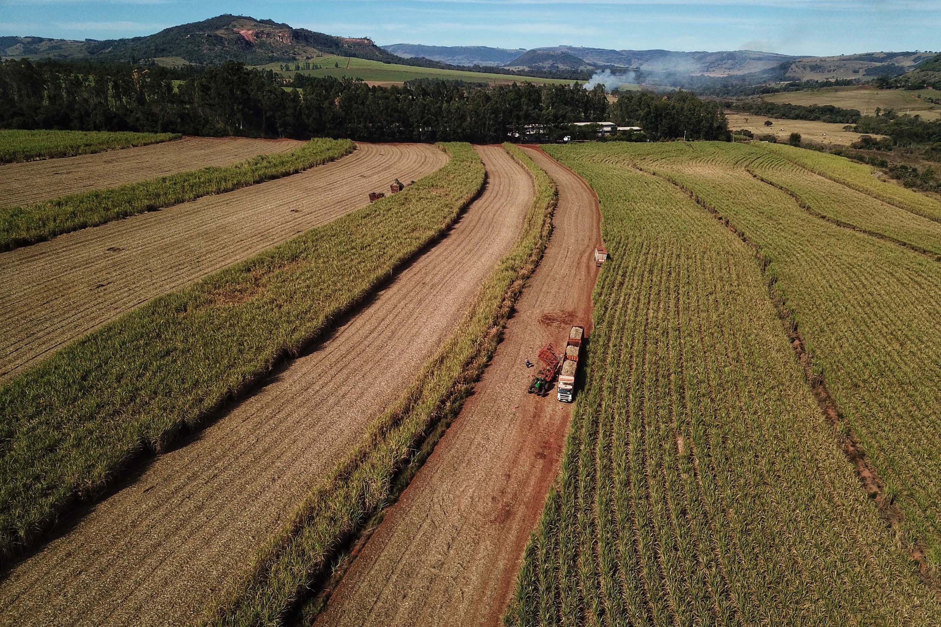 Paraná vai produzir 1,25 bilhão de litros de etanol na atual safra