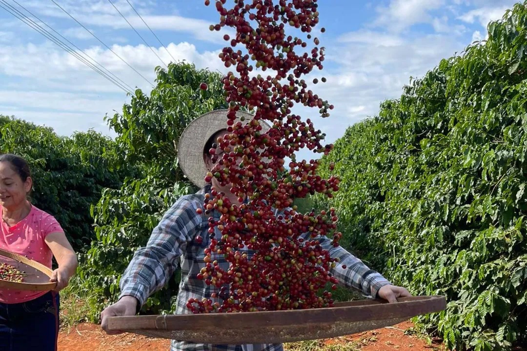 Inscrições para 22ª edição do Café Qualidade Paraná estão abertas