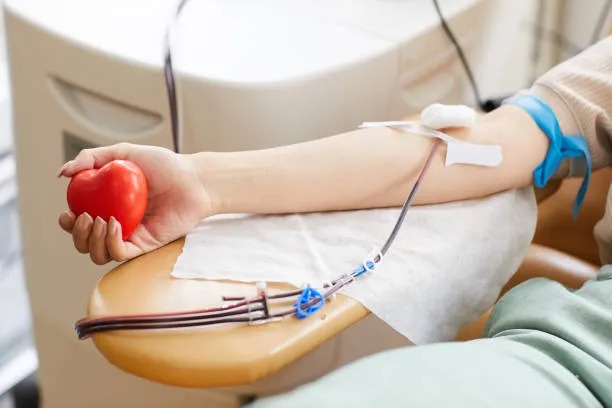 Dia Mundial do Doador de Sangue: saiba mais sobre a doação regular
