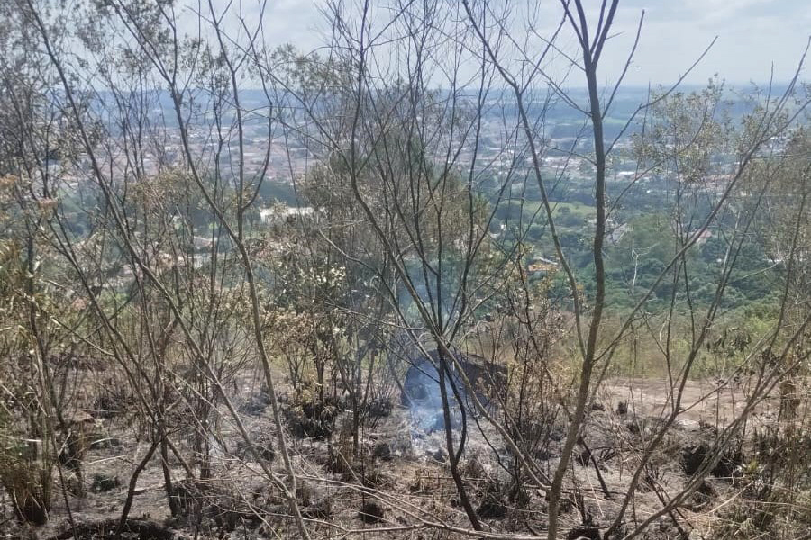 Paraná suspende por 90 dias queima controlada no campo