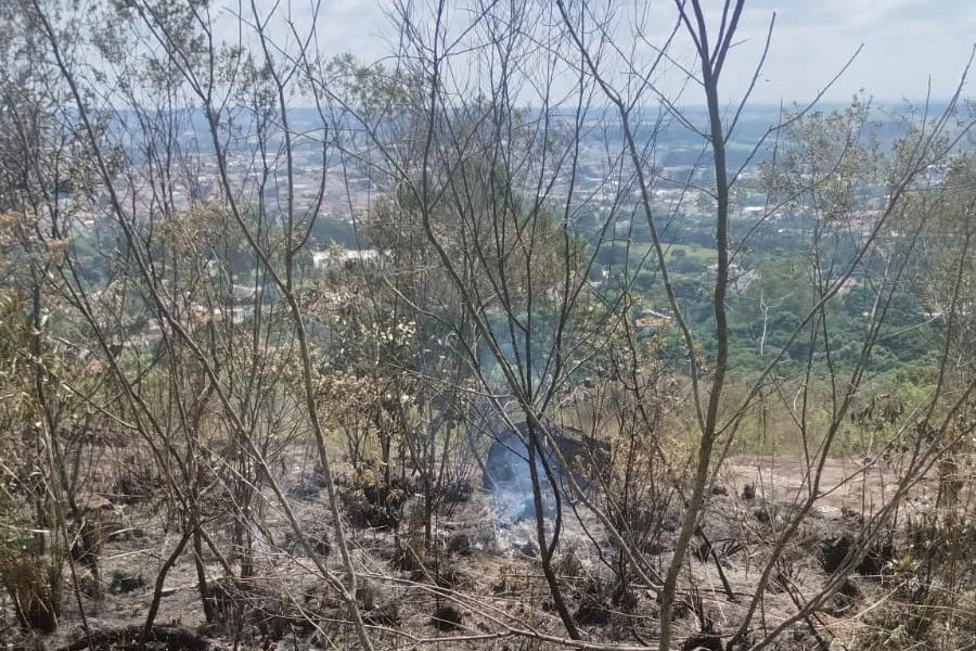 
		Paraná suspende por 90 dias queima controlada no campo