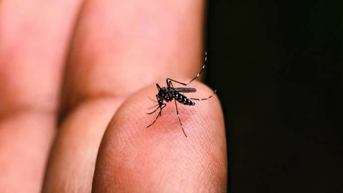 Saúde confirma morte de criança de 9 anos por dengue em Cambé
