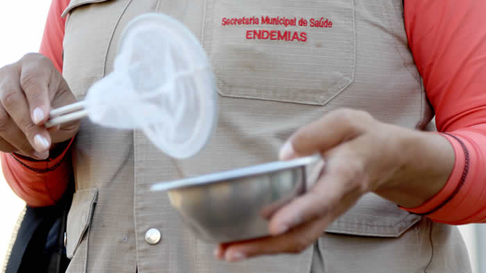 Idosa de 64 anos é quarta vítima fatal da dengue em Londrina