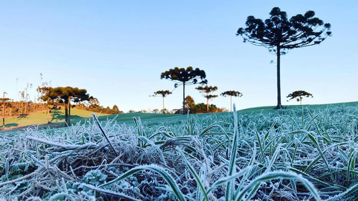 Cidade do Paraná registra temperatura de 0ºC; Londrina marca 9ºC